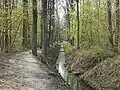 Kabaty-Wald