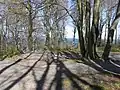 Wanderweg am Kliff