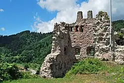 Ruine Schenkenburg in Schenkenzell