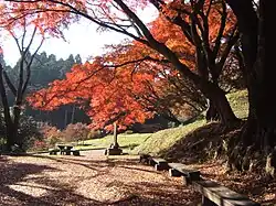 Tochigi