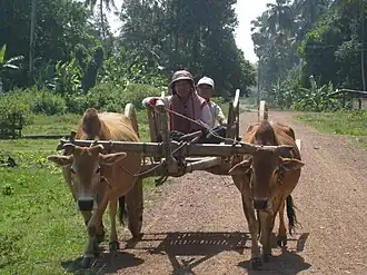 In der Provinz Kratie