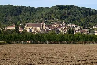 Saint-Cyprien von fern