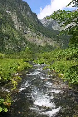 Der Saletbach zwischen Obersee und Königssee
