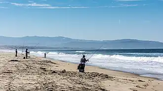 Salinas River State Beach