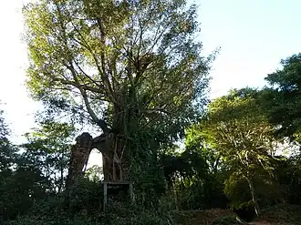 Ruine eines Tempels