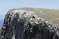 Cavern Point / Santa Cruz Island