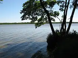 Sarbsker See