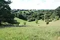 Blick ins Aubachtal, August 2017