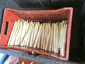 Spargel nach der Ernte