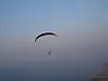 Paraglider