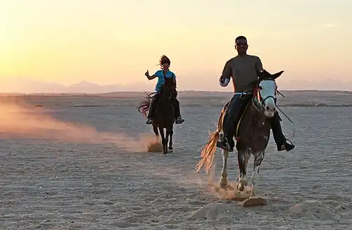 Reiten in der Wüste