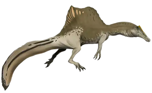 Rekonstruktion des Spinosaurus aegyptiacus