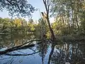 Krzewiny-Reservat