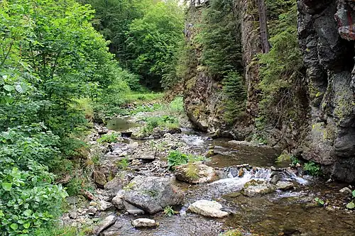 Steinachklamm im Sommer