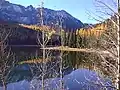 Der Siuslaw National Forest / Oregon