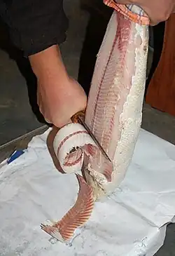 Der gefrorene Fisch wird in dünne Scheiben geschnitten,