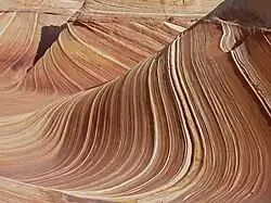 The Wave