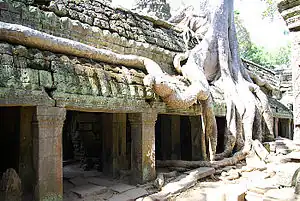 Ta Prohm