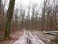 Tal der sieben Schloesser