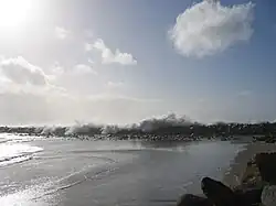 Morro Rock Jetty Beach