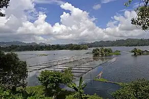 Lake Sebu