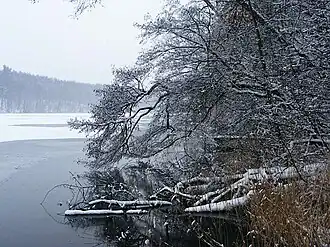 Trebuser See im Winter