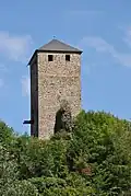 Bergfried Burg Treis