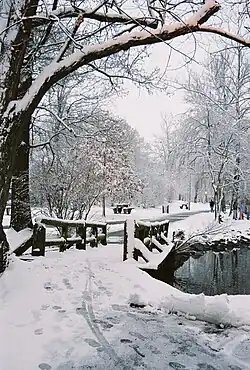 Duck Pond Bridge