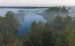Viru-Hochmoor (Estland)