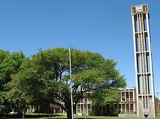 Rathaus Vryburg