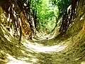 Hohlweg der Königin Hedwig