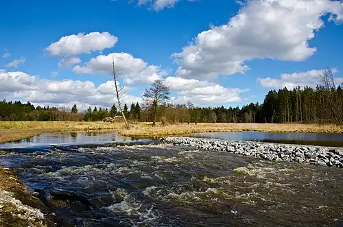 Waldnaabaue bei Gumpen