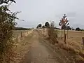 Hier verläuft der Weg über den Berg vorbei an Rinderweiden.