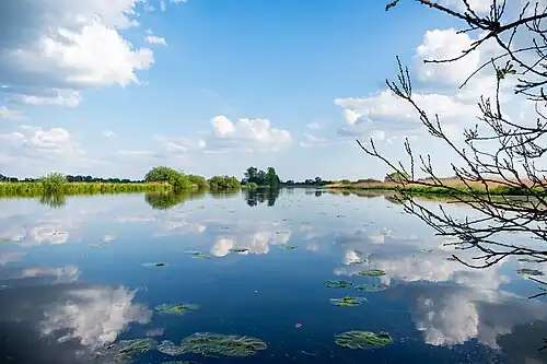 "Breites Wasser" im Frühjahr