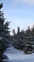 Aussichtsturm