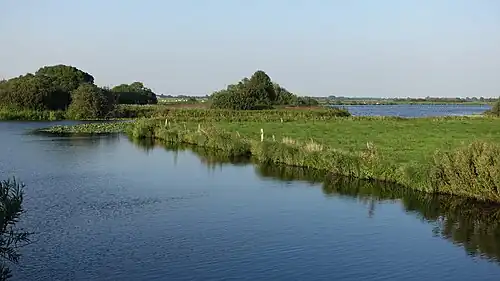 Moorlandschaft imNSG "Breites Wasser"