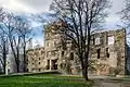 Burgruine