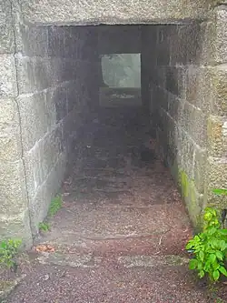 Blick in die Bärenfalle