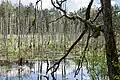 Naturreservat Grüner Bogen