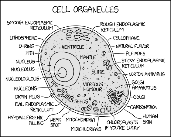 Cell Organelles
