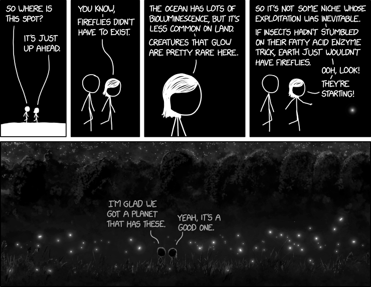 Fireflies