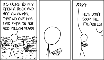 Fossil
