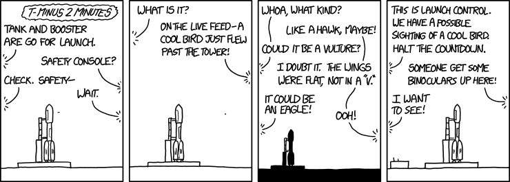 Launch Status Check