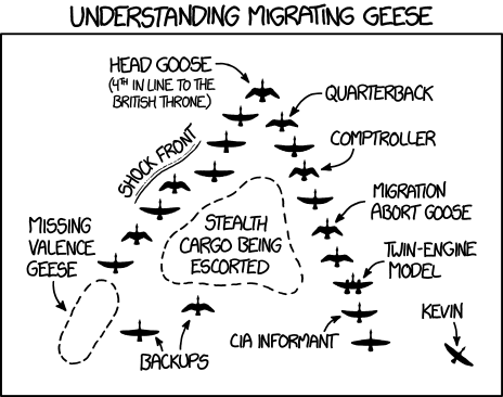 Migrating Geese