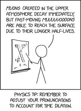 Muons