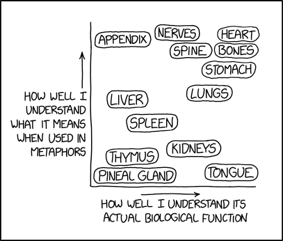Organ Meanings