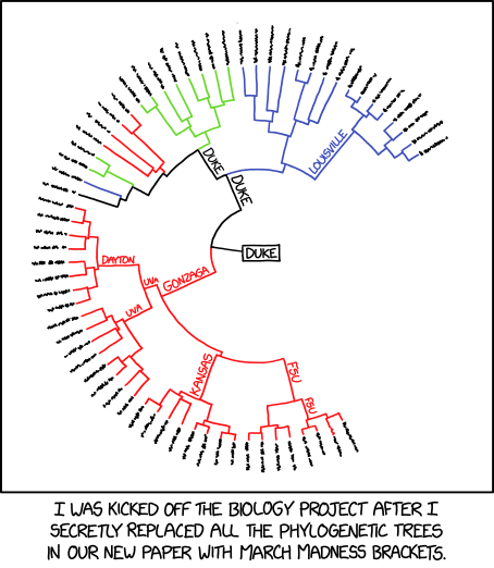 Phylogenetic Tree