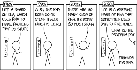 RNA