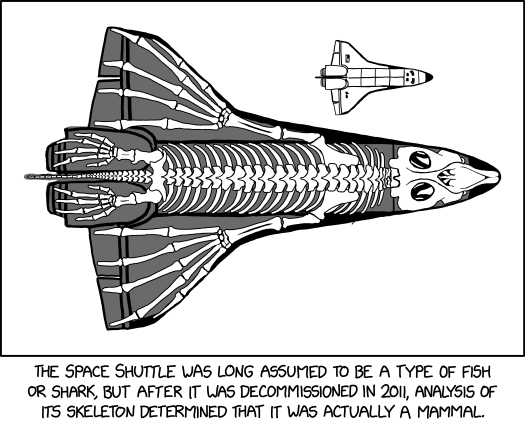 Shuttle Skeleton